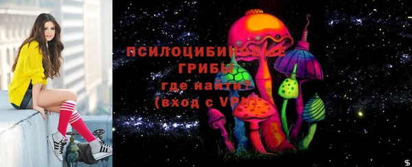 марки lsd Медногорск