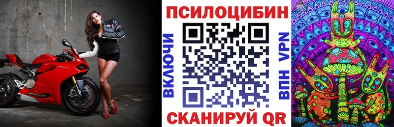 даркнет состав Мытищи Галлюциногенные грибы MAGIC MUSHROOMS наркотики